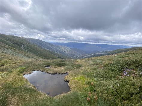 Mount Bogong Mountain Photo by Samuel | 2:23 pm 11 Mar 2023