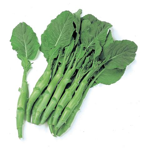 Broccoli Seeds - Chinese Broccoli - Kailaan - 1 Lb ~144000 Seeds - Non