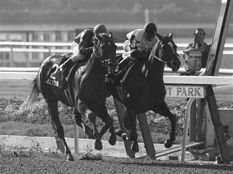 Greatness Affirmed Steve Cauthen Outduels Jorge Velasquez Alydar To