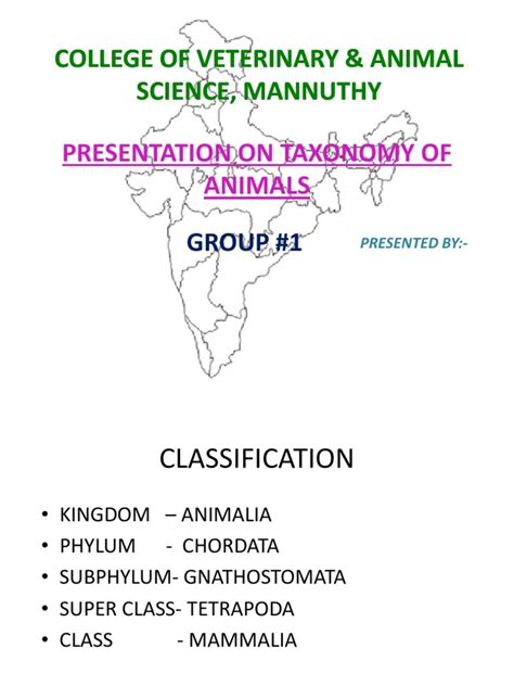 (PDF) Presentation on Taxonomy of Animals - DOKUMEN.TIPS