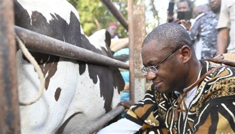 Côte d Ivoire Lancement du projet de développement et de promotion de