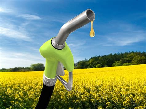 Biodiesel From Used Cooking And Vegetable Oilbio Fuel Process Useurope