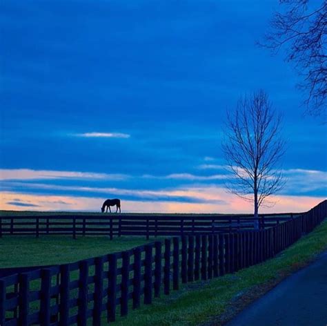 Bourbon County, Kentucky | Outdoor Beauty