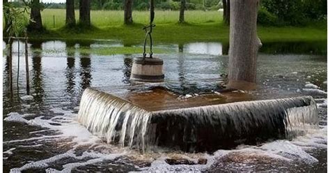 Ведьмин колодец в Тухала (Эстония) - Terra-Z