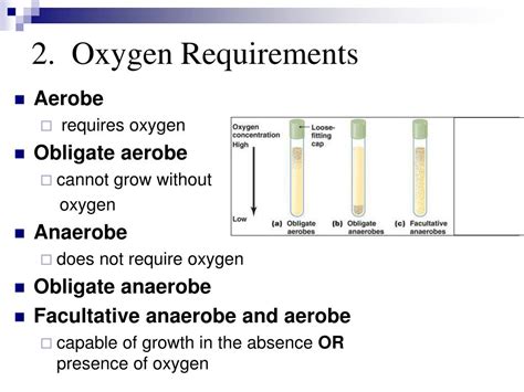 Ppt Bacterial Classification Anatomy Nutrition Growth Metabolism And Genetics Powerpoint