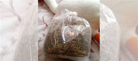 Сено для морской свинки купить в Москве | Животные и зоотовары | Авито