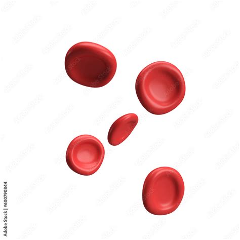 D Flow Red Blood Cells Iron Platelets Erythrocyte Anemia Realistic