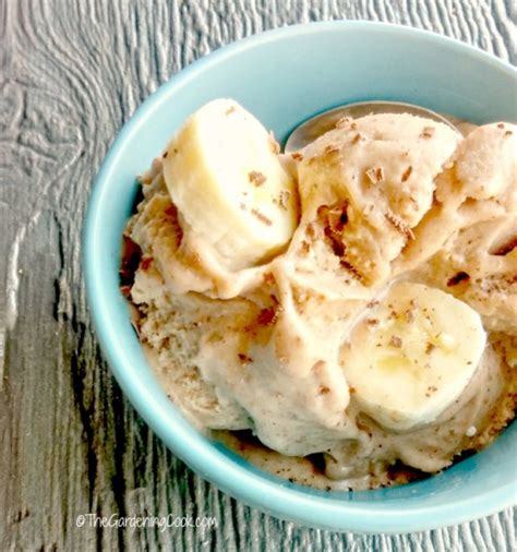 Paleo Nutella Banana Ice Cream