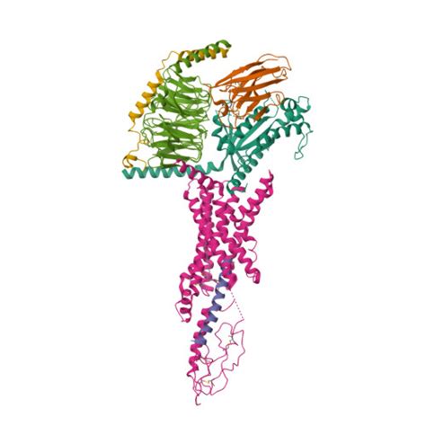 RCSB PDB 7VBH Cryo EM Structure Of The GIPR GLP 1R GCGR Triagonist