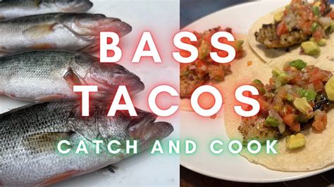 Bass Tacos Catch And Cook Easy And Delicious Recipe Youtube