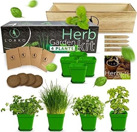 The Best Indoor Herb Kits | ehow