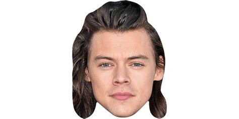 Harry Styles Long Hair Maske Aus Karton Celebrity Cutouts