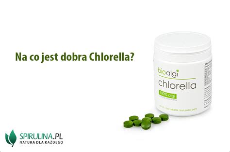 Na Co Jest Dobra Chlorella Algi Spirulina I Chlorella