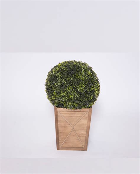 Short Round Topiary In Wood Base Party On Demand Los Angeles Party