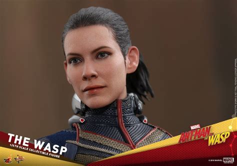 Hot Toys Marvel Ant Man And The Wasp Wasp Figures