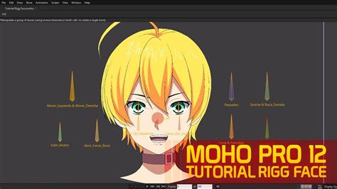 Tutorial Rigg Face MOHO PRO 12 YouTube