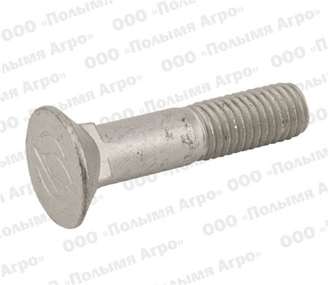 30110515 Болт с потайной головкой M12x55-12.9 Lemken купить в Беларуси ...