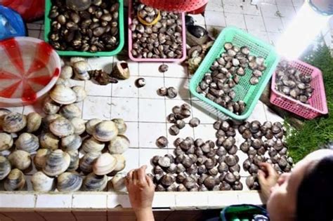 Shellfish Sa 8 Lugar Sa Bataan Bawal Kainin Pilipino Star Ngayon