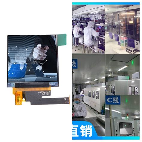 6 Inch Large Flexible OLED Screen - LCD Display and TFT Display price