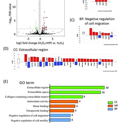 Hpe Increases Antioxidant Gene Expression Levels In H O Treated Nhdfs