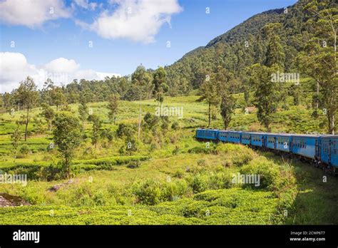 Tren sri lankan fotografías e imágenes de alta resolución Página 4