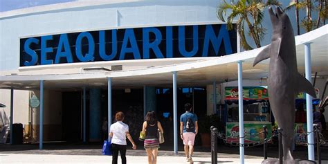 Miami Seaquarium Loving Florida