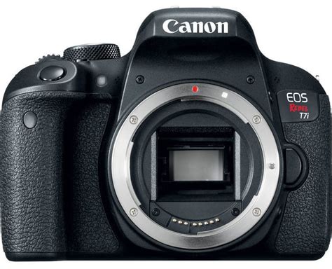 Best Entry Level Dslrs Of For Beginners Ranked