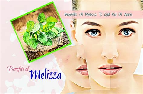 38 Proven Benefits Of Melissa Herb And Oil For Skin And Health