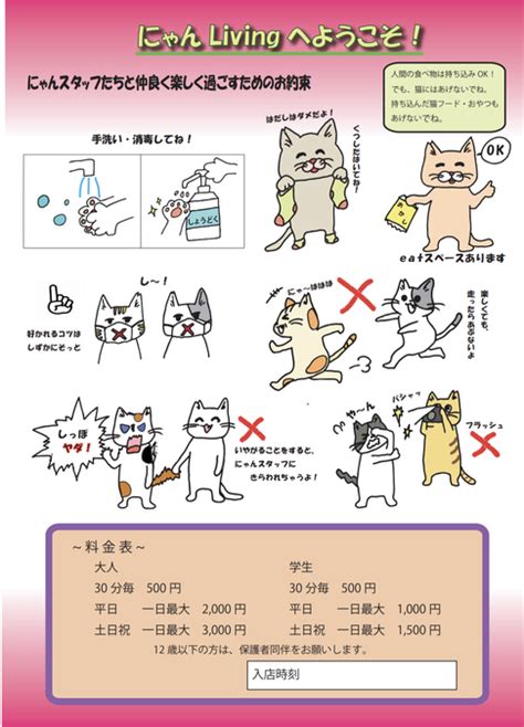 施設写真】 人も猫も楽しく過ごせるように、にゃんりびルールに気を付けて にゃんスタッフと仲良』開放型保護猫シェルター にゃんliving