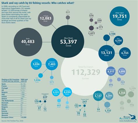 European Shark And Ray Fishing Infographic Fish Infographic Shark