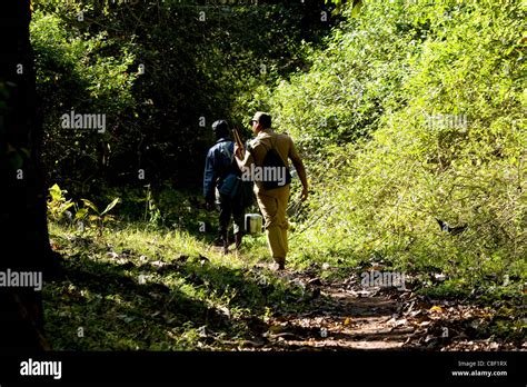 Kerala forest hi-res stock photography and images - Alamy