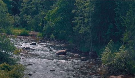 Pārgājiena Maršruts No Kārļu Tilta Līdz Iespaidīgajam Zvārtes Iezim