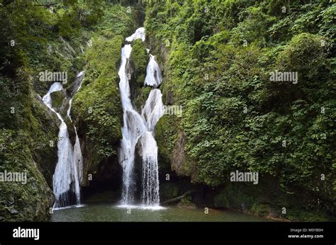 Waterfall In A Lush Rainforest Vegas Grande Waterfall In Topes De