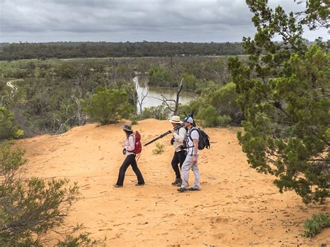 A Murray River Wildlife Safari