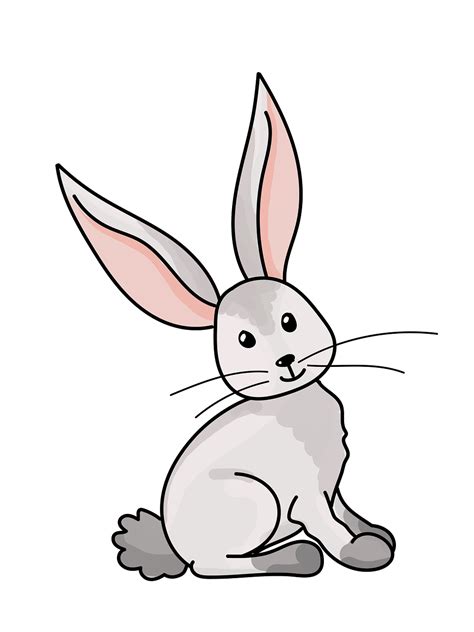 60 Free Gambar Kelinci Kartun And Rabbit Images Pixabay