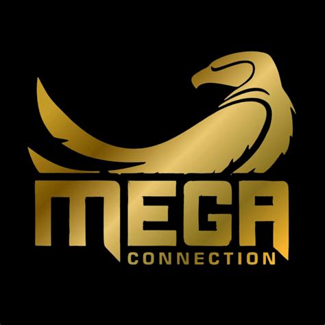 mega connection distribuidor autorizado san vicente de canete