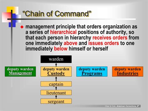 Nursing Chain Of Command Chart