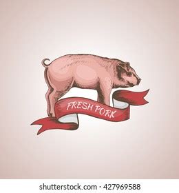 Colorful Stylized Drawing Pig Swine Icon Stock Vector Royalty Free