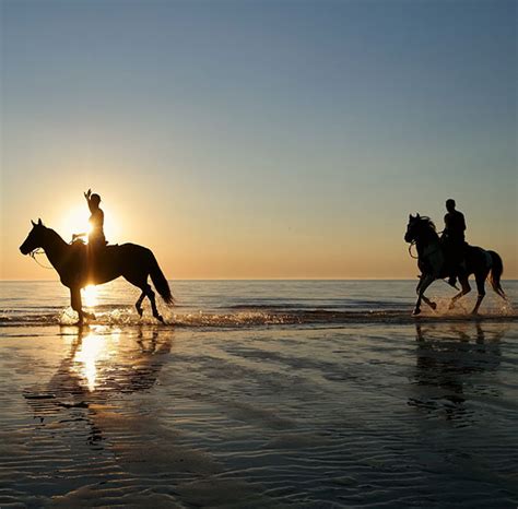 The Ultimate Agadir Beach Horse Riding Adventure Bucket List Morocco