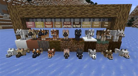 Todays Snapshot 24w10a Has Wolf Variants What Do You Think Of Them Rminecraft