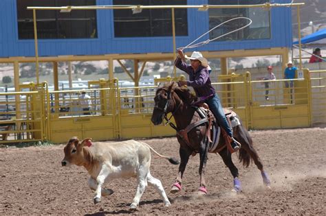 Open Jr Rodeo Monday Sept 1 2014