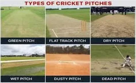 Different Types of Pitches in Cricket - you should know about it ...