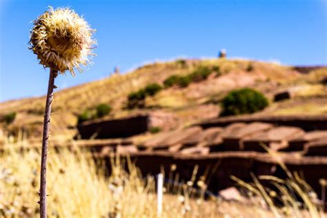 The Ultimate Guide to the Tiwanaku Ruins in Bolivia