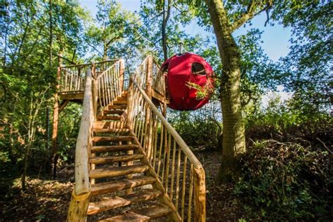 You Can Rent This Spherical Treehouse For 145