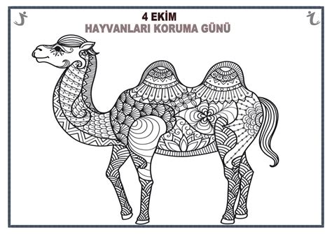 4 Ekim Hayvanları Koruma Günü Mandala Etkinlikleri