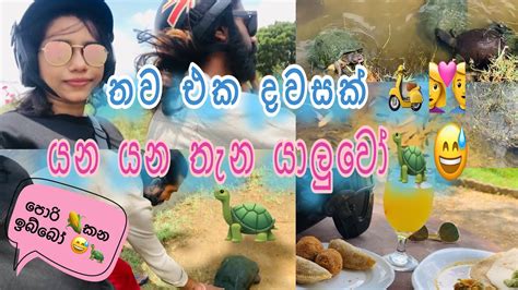 යන යන තැන හම්බවෙන චුටී යාලුවෝ 😅🐢🦤 උදේම ගමනක් 🛵👩‍ ️‍👨 The Day In Life 🛵⛅️🐢 Youtube