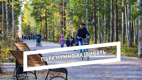 Парк нужно развивать - YouTube