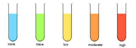 Food Tests Benedict S Test For Reducing Sugar Brilliant Biology Student