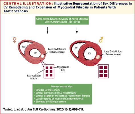 Jacc Cardiovascular Imaging Vol 13 No 3