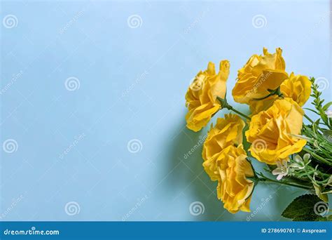 Bouquet Of Yellow Roses On Blue Background With Copy Space Stock Image